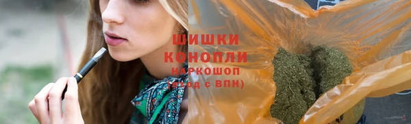 прущие грибы Володарск