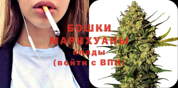 прущие грибы Володарск