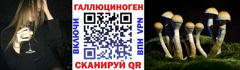 Галлюциногенные грибы Cubensis  darknet телеграм  Петрозаводск 